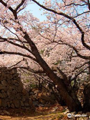 Seosaengpo Japanese Fortress