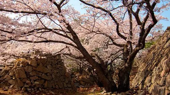 西生浦倭城