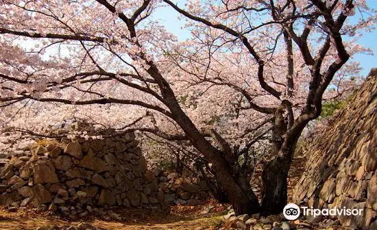 Seosaengpo Japanese Fortress