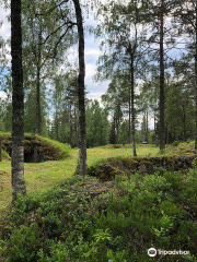 Sjöänd Skans / Fort 118 Sjoand Skans / Fort 118