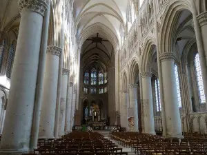 Cathedral Notre-Dame de Sees