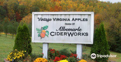 Vintage Virginia Apples