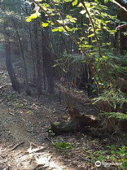 National Park Skole Beskids