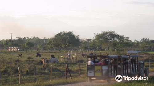 Merecure Parque Agroecologico