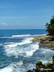 Refuge Naturel de Faune Sauvage Gandoca-Manzanillo