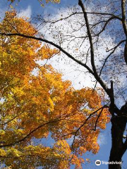 Turkey Mountain Nature Preserve