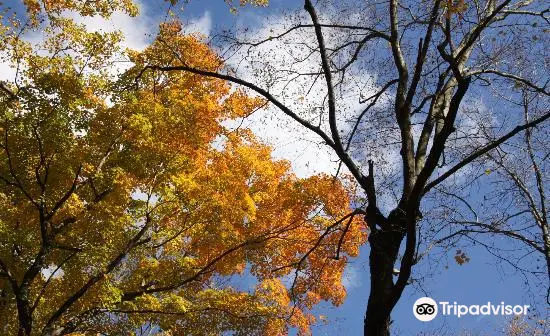 Turkey Mountain Nature Preserve