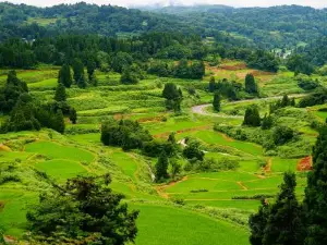 Hoshitoge Rice Terraces