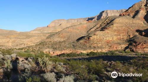 The Virgin River Canyon Recreation Area