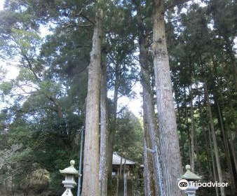 Torinji Temple