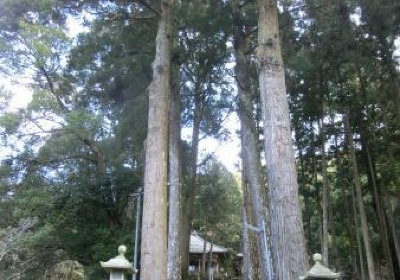 Torinji Temple