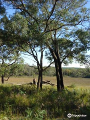 Holey plains state park