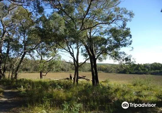 Holey plains state park