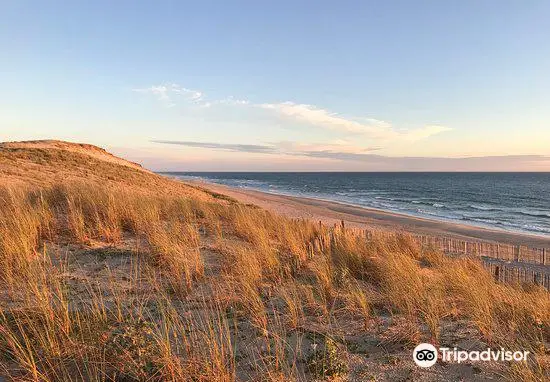 Plage du Pin Sec