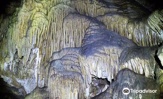 Calgardup Cave