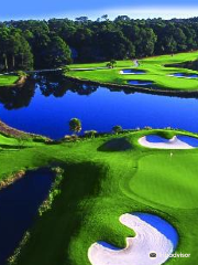 The Golf Courses of Palmetto Dunes