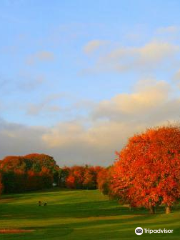 Carlow Golf Club