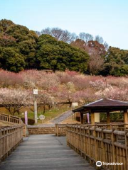 Akatsukayama Park （Gyogyo Land）