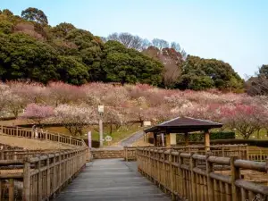 Gyogyo Land