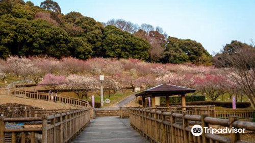 Gyogyo Land