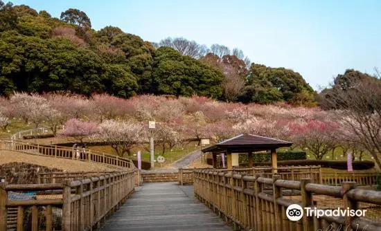 Gyogyo Land