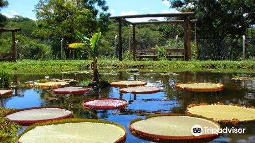 Municipal Botanical Garden of Bauru