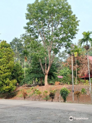 Gunung Senyum Recreational Forest