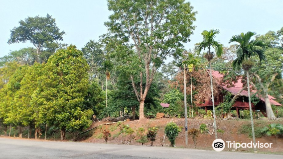 Gunung Senyum Recreational Forest