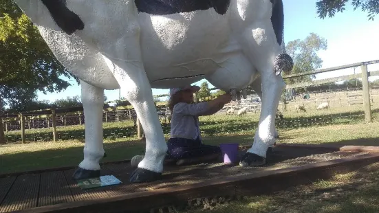 Rookery Open Farm