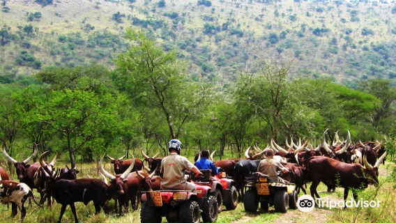 All Terrain Adventures (U) Ltd.