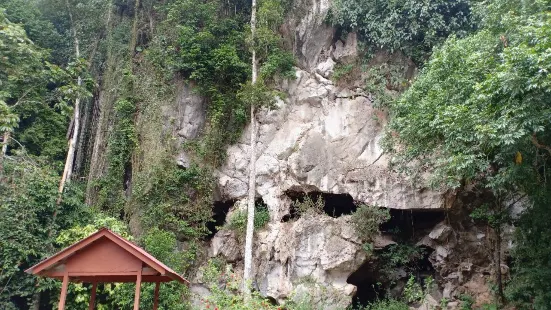 Kota Gelanggi Caves