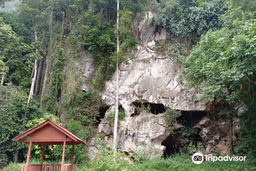 Kota Gelanggi Caves