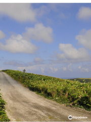 Cape Soya Wind Farm