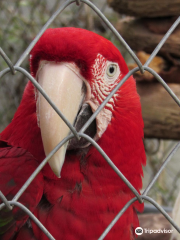 リンウッド・パーク動物園