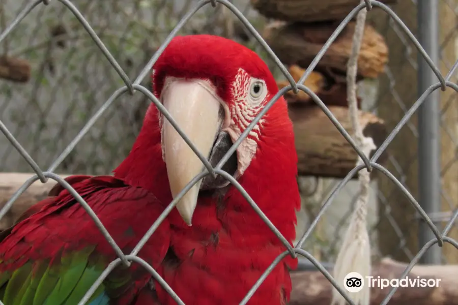 Lynnwood Park Zoo