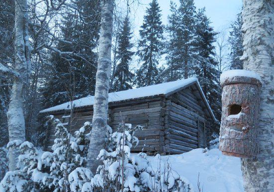 Lappish Forestry Museum