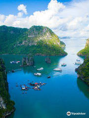 Bai Tu Long Bay Cruise