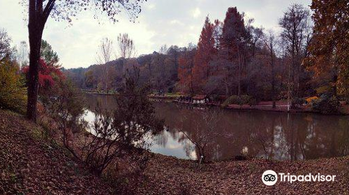 Ataturk Arboretum