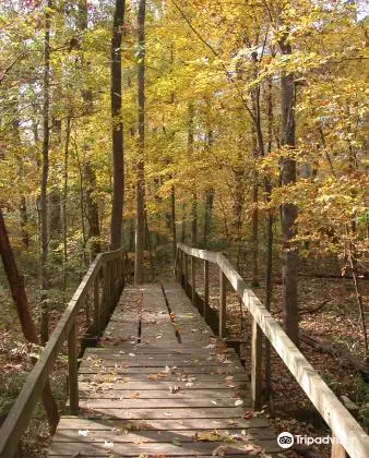 Walter B Jacobs Memorial Nature Park