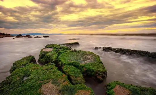 Hotels near Bonuan Blue Beach