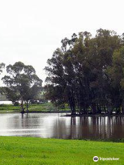 Barragem do Barrocal