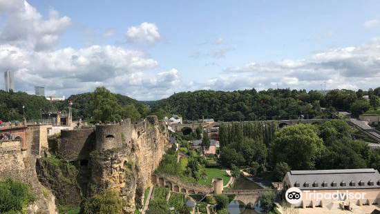Ukulele Reviews: Food & Drinks in Luxembourg Luxembourg– Trip.com