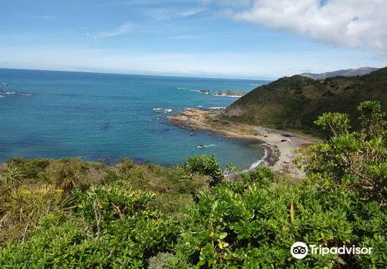 Tarakena Bay