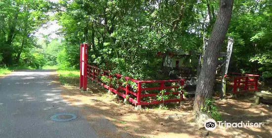 Miyori Shrine (Cat Shrine)