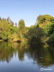 Dún a Rí Forest Park