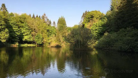 Dún a Rí Forest Park