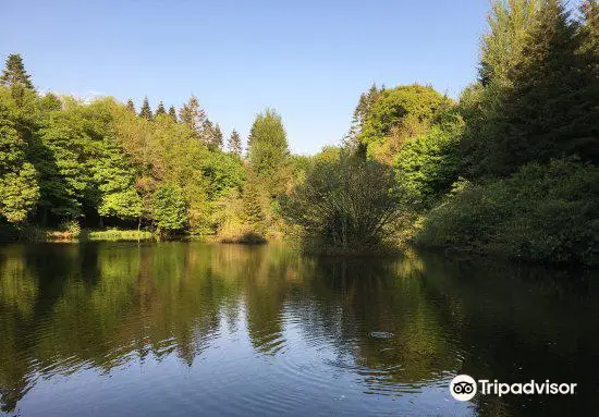 Dún a Rí Forest Park