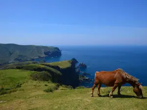 隱岐諸島