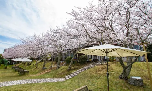 Resort Hotel Moana Coast