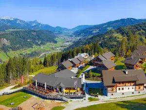 奧地利阿爾姆威特酒店